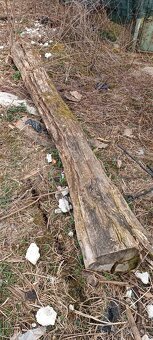Darujem drevo za odvoz - 2