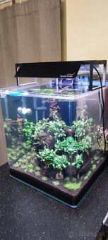 Predam nano 60l akvarium - 2