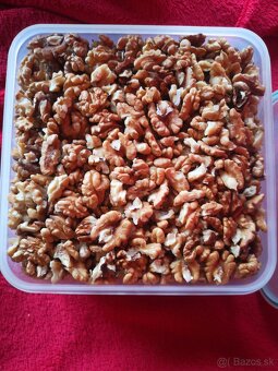 Orechy vlašské - 2