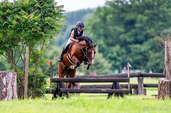 Náš Princ hledá svoji princeznu - 2