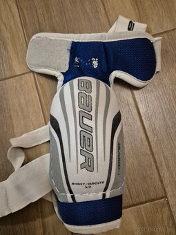 Chranice laktov Bauer - 2