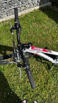 Dámsky bicykel - 2