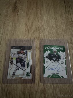 Predám SHL 25/26 kartičky - 2