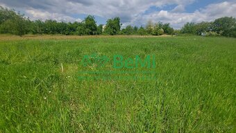 Predaj pozemok vo vinici Nitra -Čechynce 2183m2 (216-13-JUF - 2