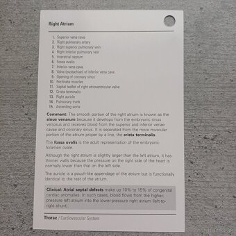 Netter flashcards, LF UPJŠ poznámky - 2