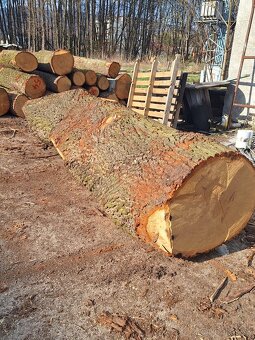 Dubová rustikálna guľatina - 2