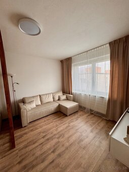 Veľký 1 izbový byt Podbreziny - 2