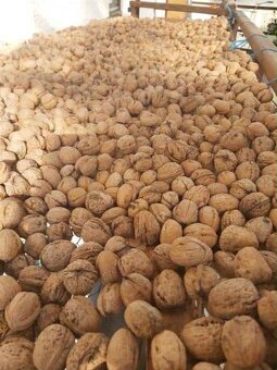 🌰 ČERSTVÉ DOMÁCE ORECHY A MAK - 2