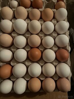 Domáce vajíčka - 2