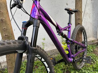 Specialized Stumpjumper - 2