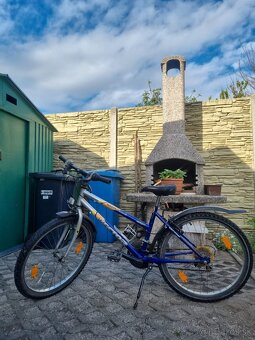 Horsky bicykel - 2
