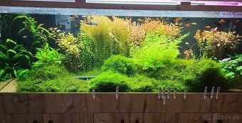 Akvárium 840l - 2
