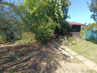 Zahrada v zahradkarskej osade v Sali - 2