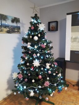 Predám vianočný stromček - 2