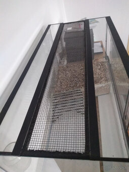 AQUA TERARIUM - ZANOVNE - 2