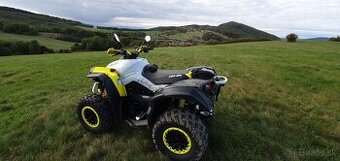 Can Am Renegade 650 xxc - 2
