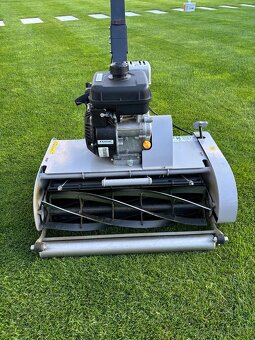 Swardman Edwin 55cm - 2