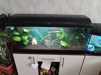 Predám zabehnute akvárium - 2