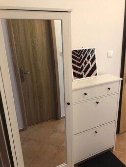 Nabytok do predsiene - 2