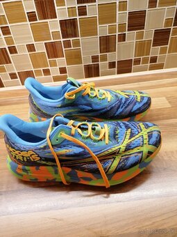 Asics noosa tri 15 - 2