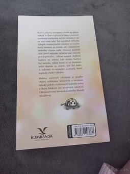 Budova srdcových záležitosti - 2