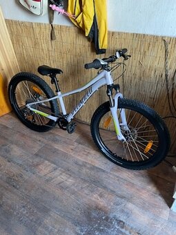 Specialized 24 - 2