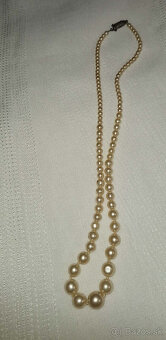 STARÝ NÁHRDELNÍK - 2