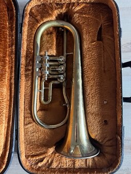 Krídlovka značka Lidl Brno - 2