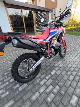 Honda crf 300 rally - 2