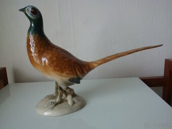 sosky, ROYAL DUX - 2