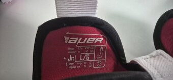 Bauer lakte - 2