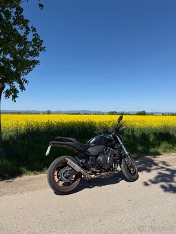 Honda Hornet 600 PC41 - 2
