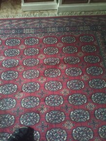 Plyšový koberec  vlnený - 2