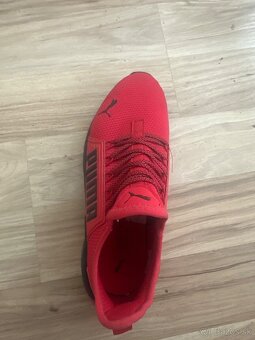 Predám Obuv značky puma - 2