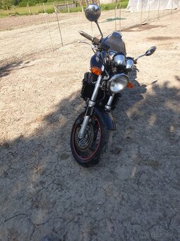 Honda hornet - 2