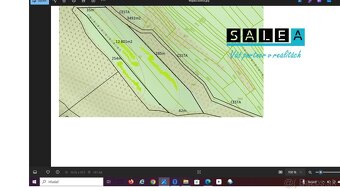 Pozemok vhodný na vybudovanie ranču v obci Bzince pod Javori - 2