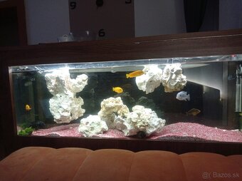 Akvarium - 2