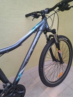 Dámsky bicykel - 2