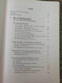 Peter Raba - Homöopathie das kosmische heilgesetz - 2