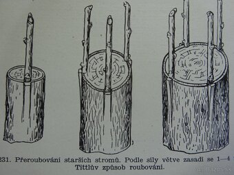 REZERVOVANÉ Naše rodinné záhrady I.-II., vydané v r. 1931 - 2