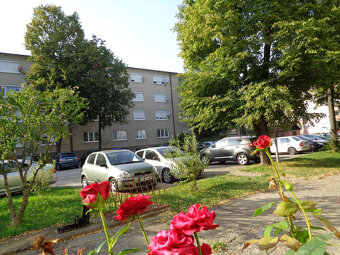 Predaj 3-izbový byt, Zlaté Klasy, 30min.autom do BA - 2