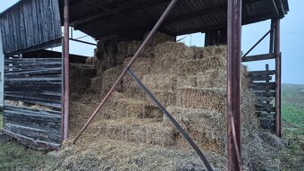 Pšeničná slama malé balíky. - 2