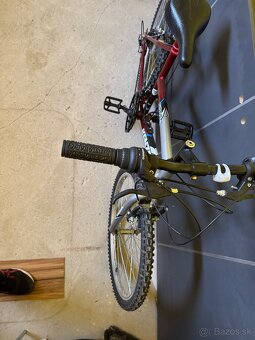 Kenzel 24” junior - 2