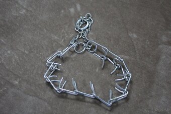 obojok s ostňami - 2