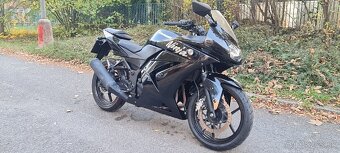 Kawasaki 250 ninja - 2