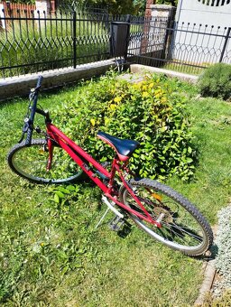 Dámsky bicykel - 2