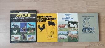 Hydina, husi, kačky, hospodárske zvieratá - 2