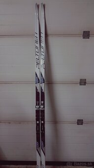 Lyže - bežecké, šupinové - 2