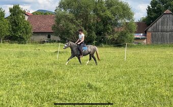 Pony kobylka s úžasnou povahou - 2
