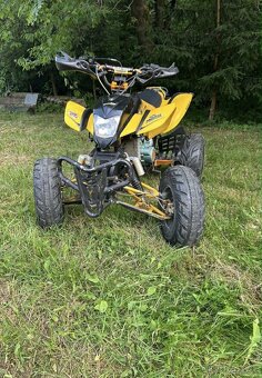 Bashan 200 - 2